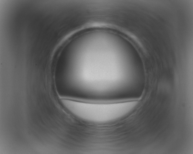 X0000083571319200702090805