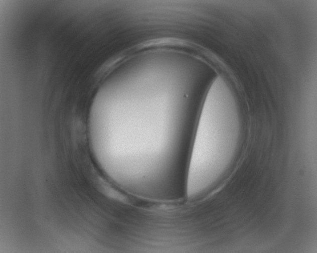 X0000083571321200702090805