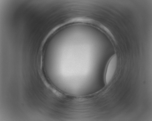 X0000083571323200702090805