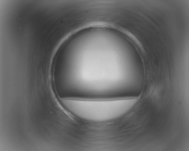 X0000083571327200702090805