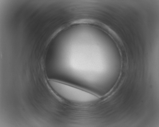 X0000083571329200702090805
