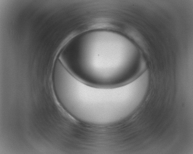 X0000083571330200702090805