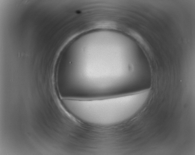 X0000083571331200702090805