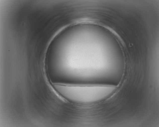 X0000083571333200702090805