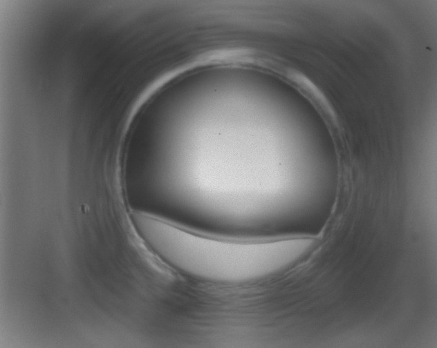 X0000083571336200702090805