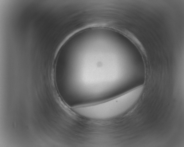 X0000083571340200702090805
