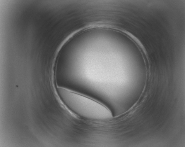 X0000083571341200702090805