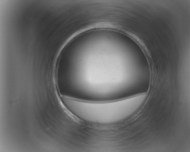 X0000083571342200702090805