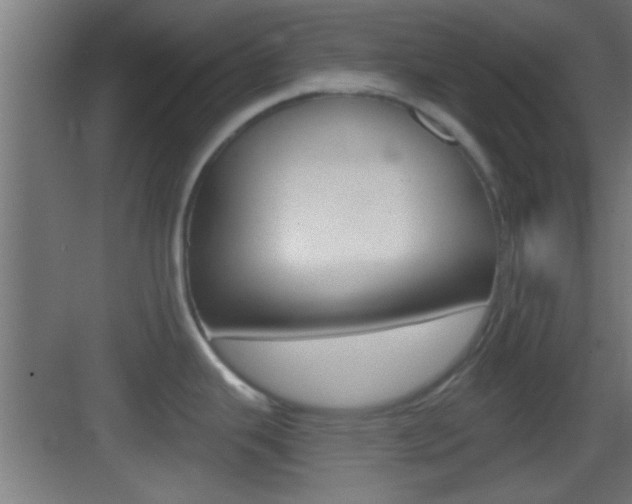 X0000083571343200702090805