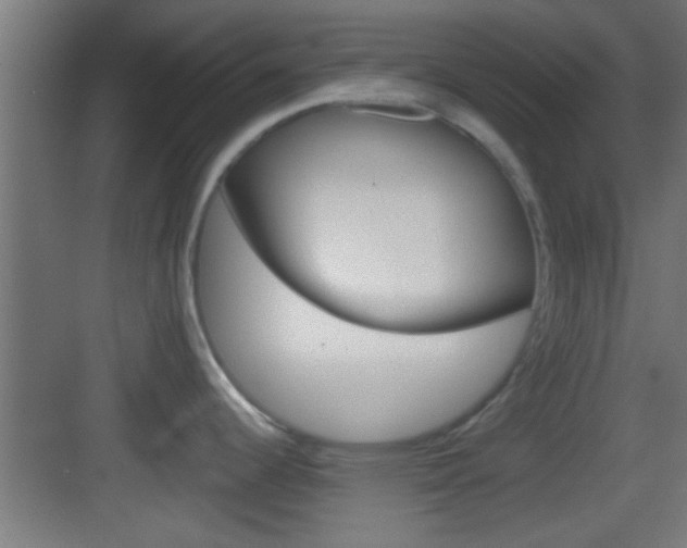 X0000083571344200702090805