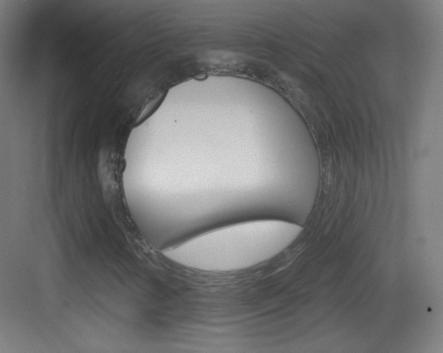 X0000083571346200702090804