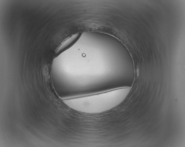 X0000083571347200702090804
