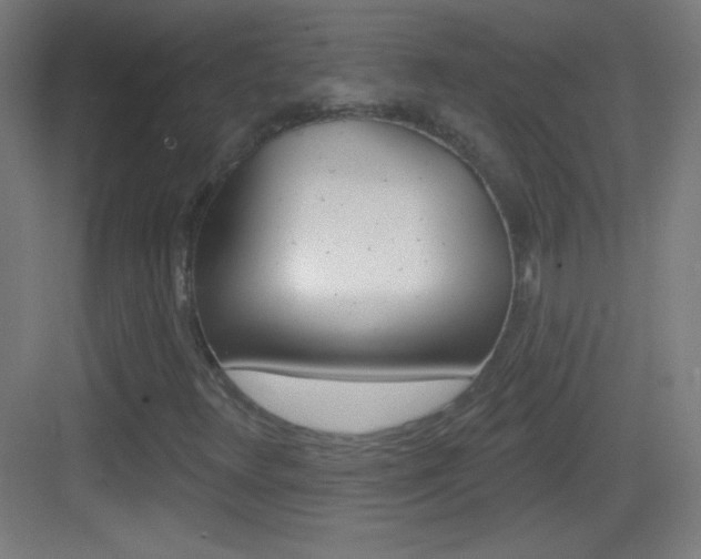 X0000083571348200702090804