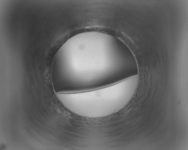 X0000083571351200702090804