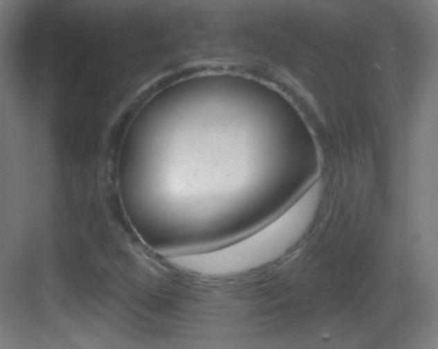 X0000083571352200702090804
