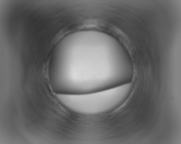 X0000083571353200702090804