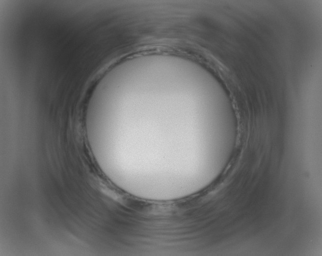 X0000083571354200702090804