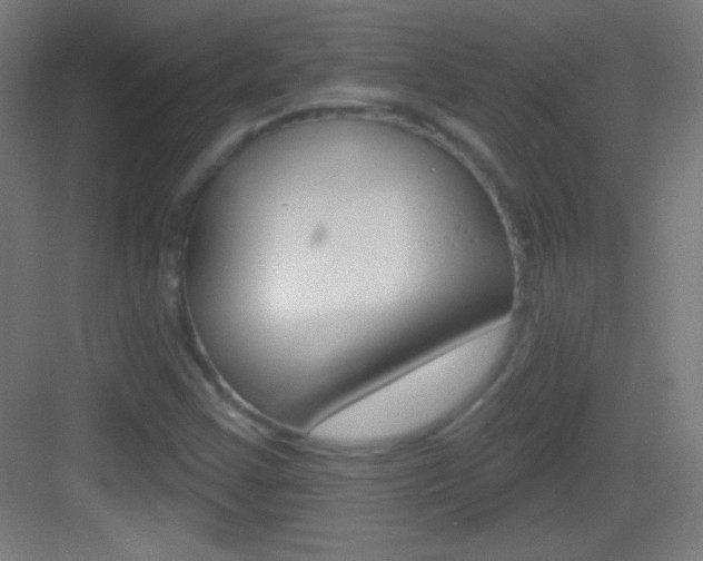 X0000083571355200702090804