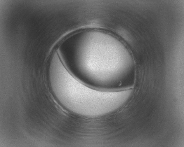 X0000083571356200702090804
