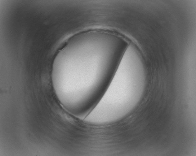 X0000083571359200702090804