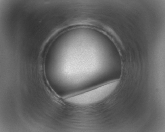 X0000083571360200702090804