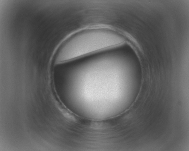X0000083571364200702090804