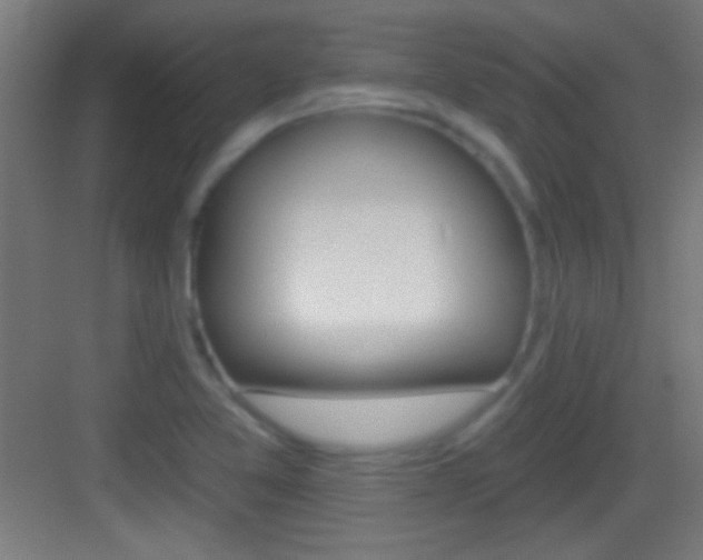 X0000083571365200702090804