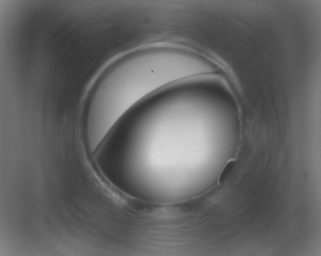 X0000083571368200702090804