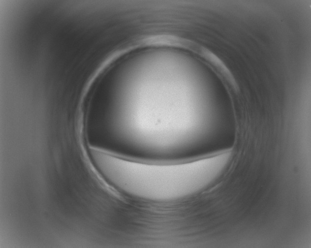 X0000083571376200702090804