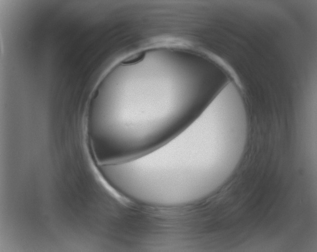X0000083571383200702090804