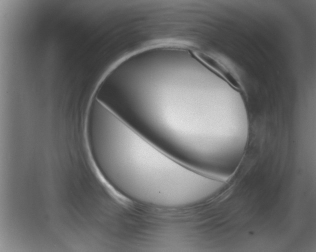 X0000083571391200702090804