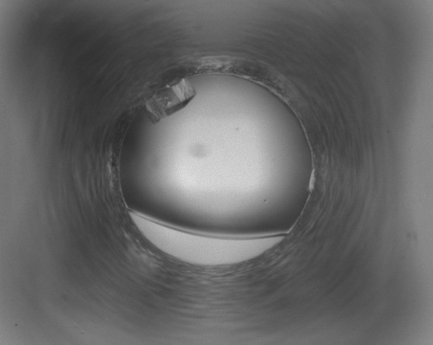 X0000083571394200702090803