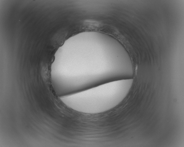X0000083571395200702090803