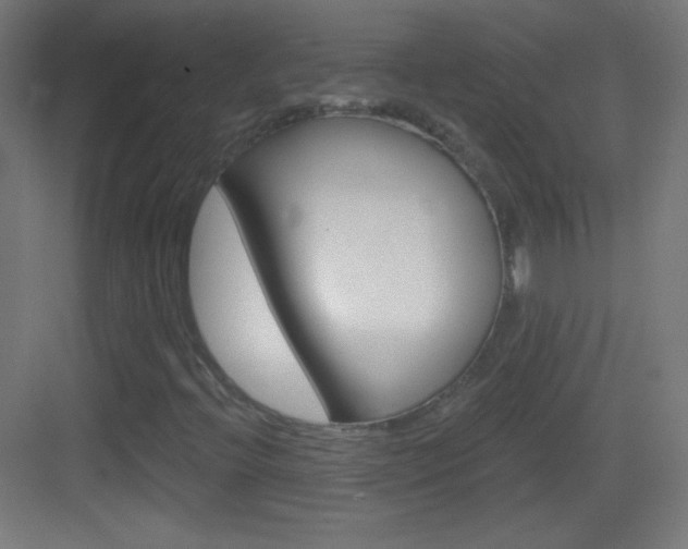 X0000083571396200702090803