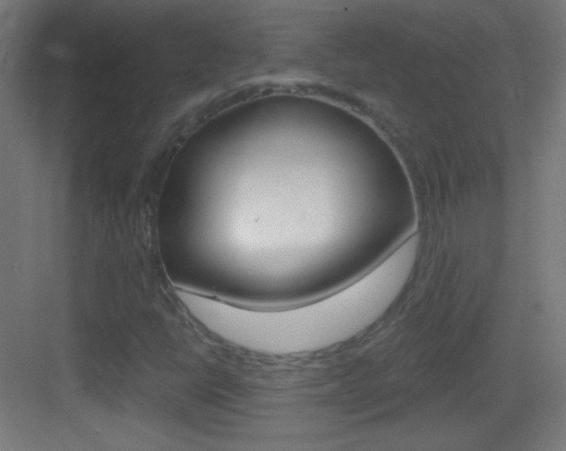 X0000083571398200702090803