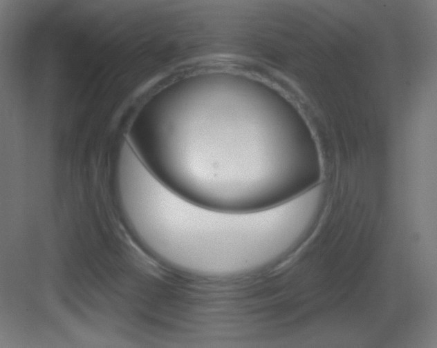 X0000083571402200702090803
