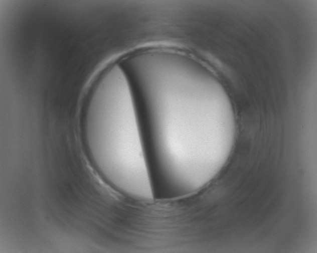 X0000083571408200702090803