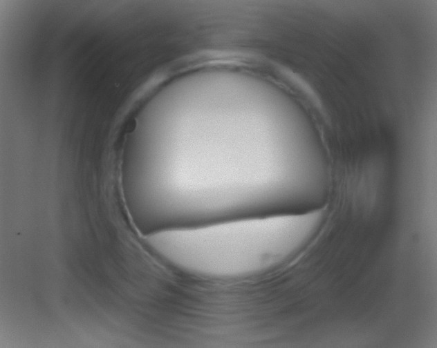 X0000083571411200702090803