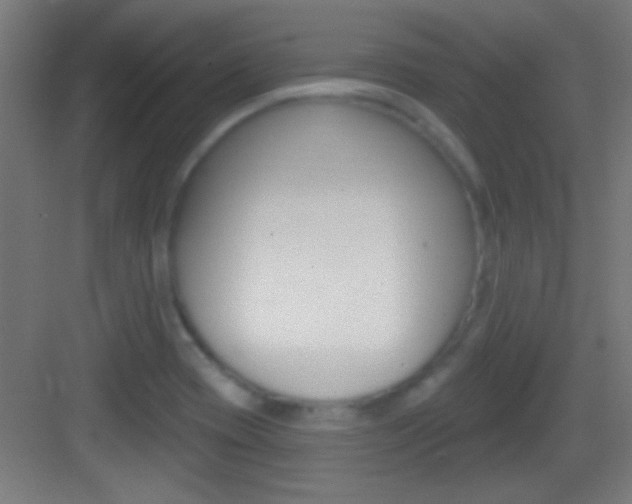 X0000083571417200702090803