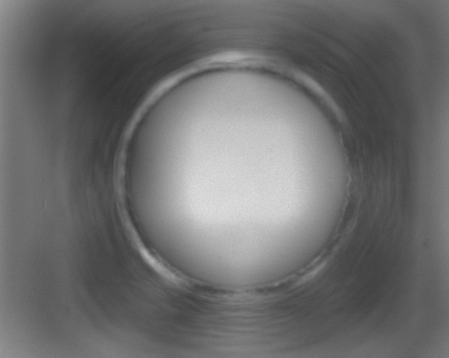 X0000083571421200702090803