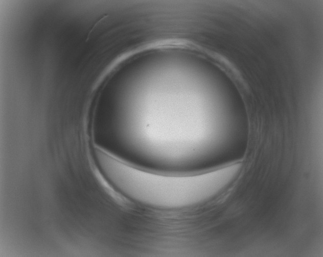 X0000083571422200702090803