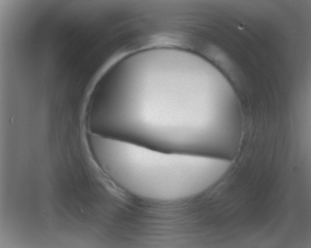X0000083571427200702090803