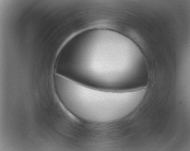 X0000083571428200702090803