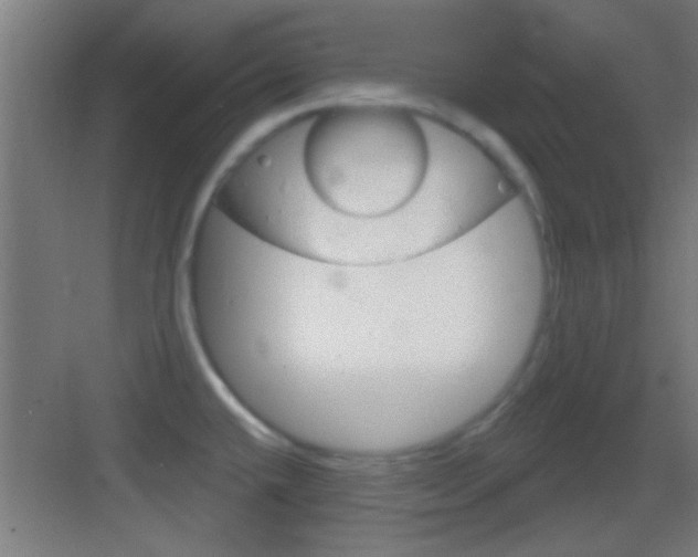 X0000083571432200702090804