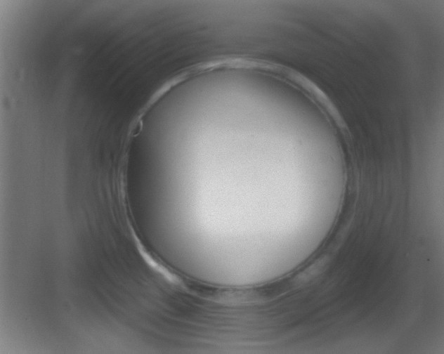 X0000083571433200702090804