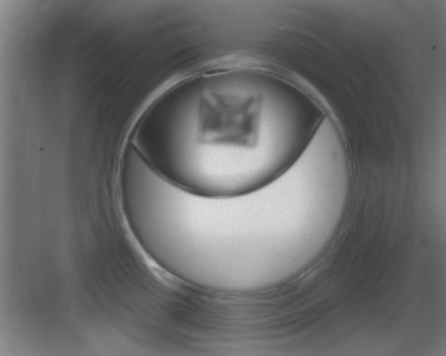 X0000083571434200702090804
