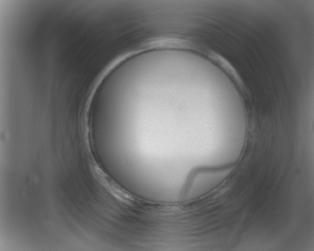 X0000083571435200702090804