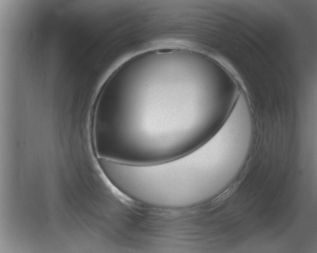 X0000083571438200702090804
