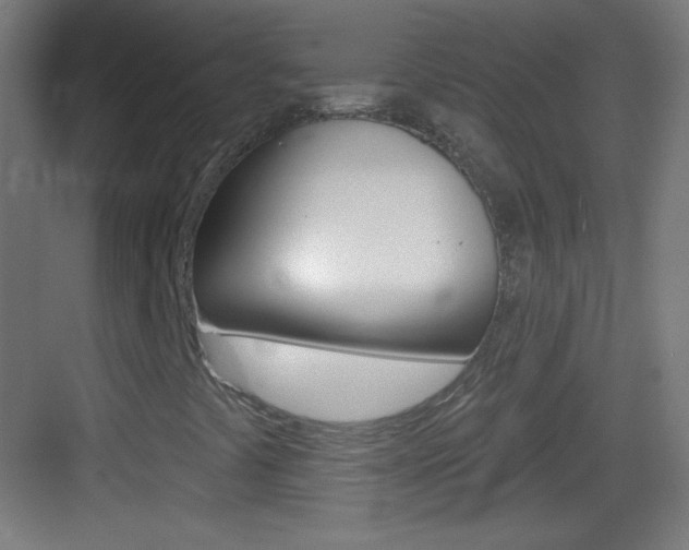 X0000083571441200702090803
