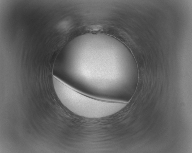 X0000083571442200702090803